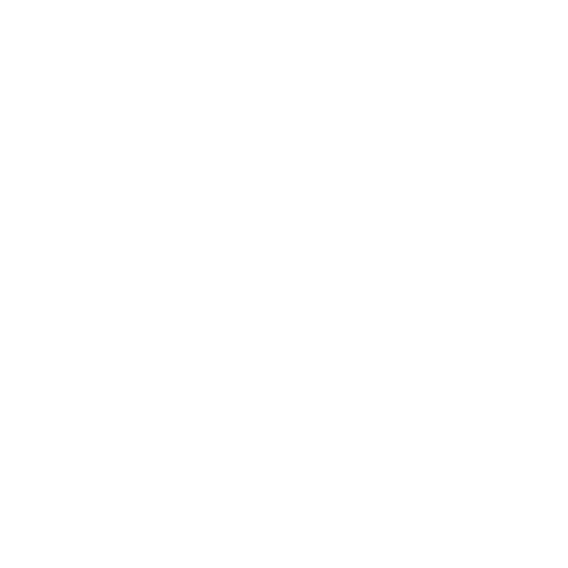 Night Halt